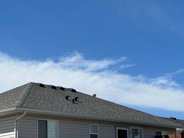 Asphalt Shingles Roofing